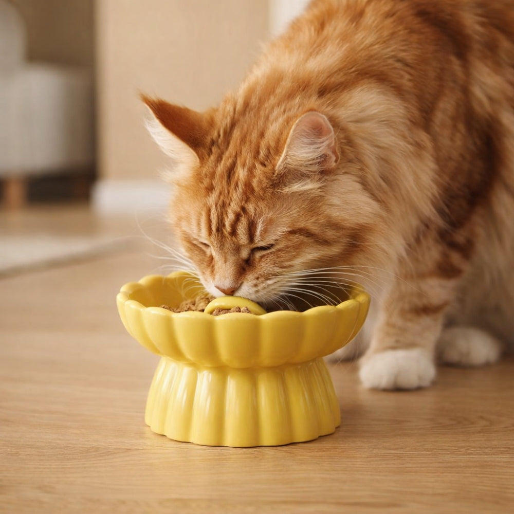 Gamelle Anti Glouton Céramique