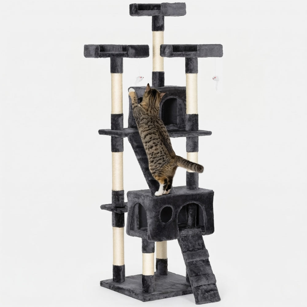 Arbre à Chat Avec Escalier