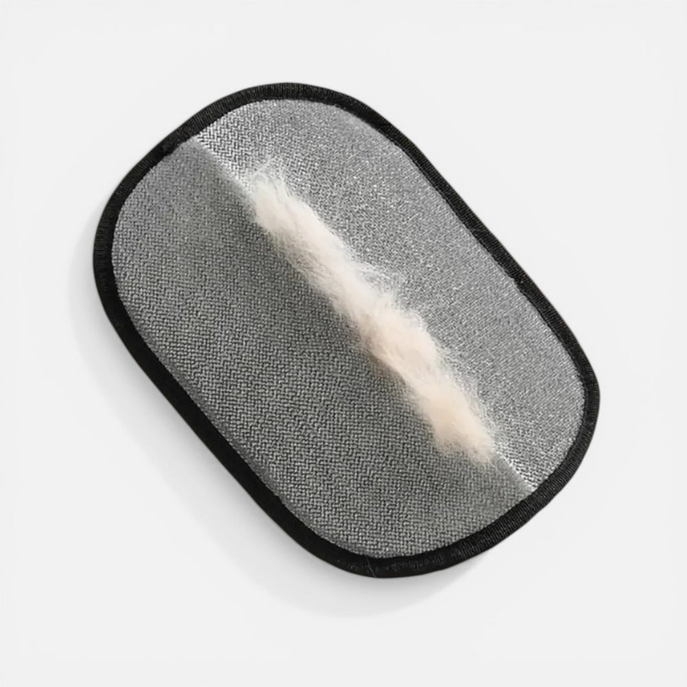 Gant Anti Poils 21x16.5 Cm