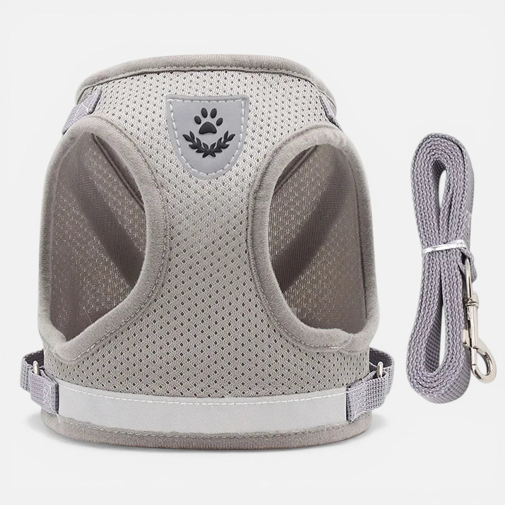 Harnais Pour Chat Anti Fugue Réfléchissant