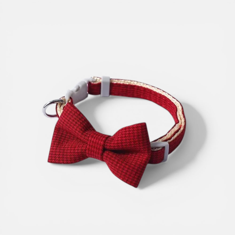 Collier Chat Noeud Papillon