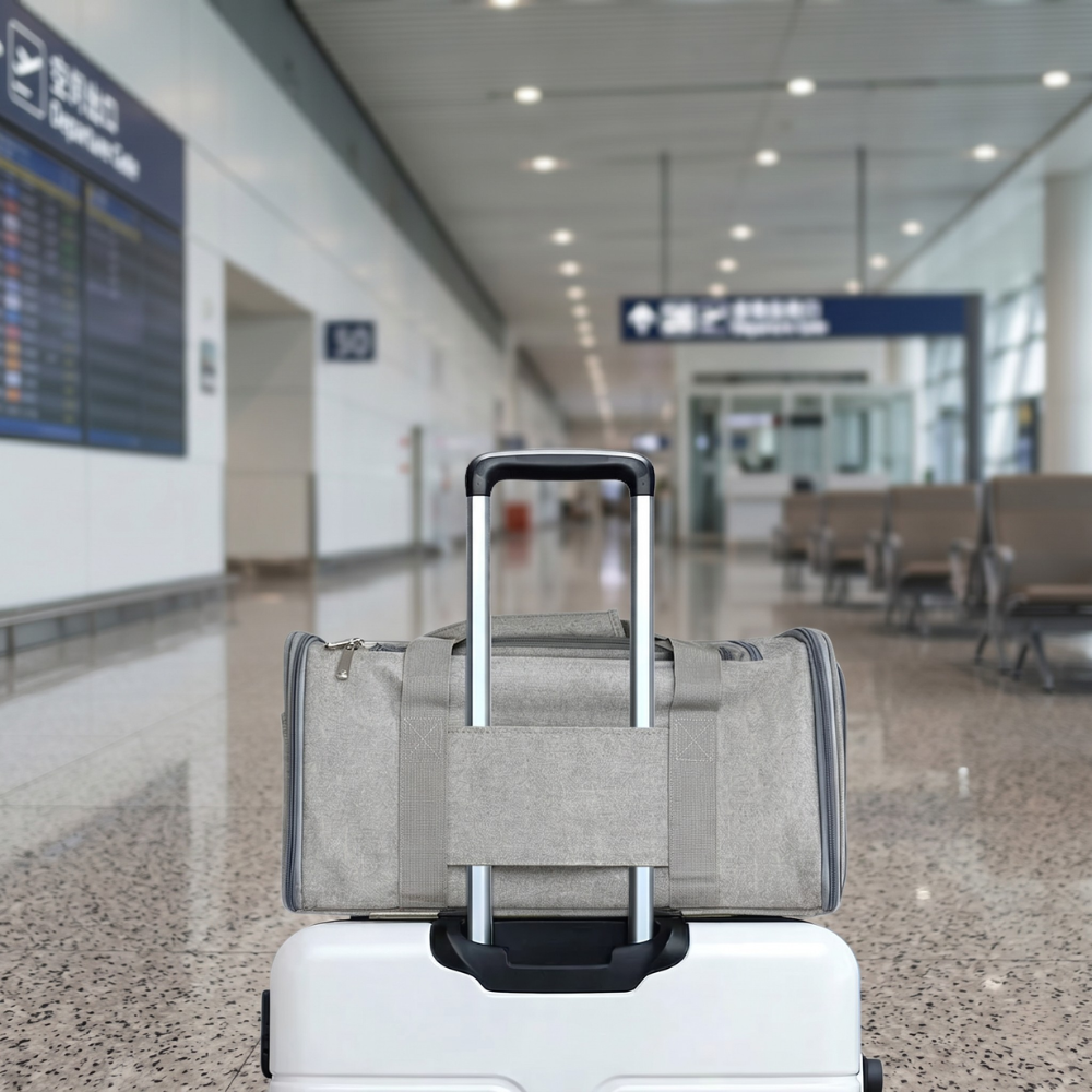 Sac De Transport Avion Chat