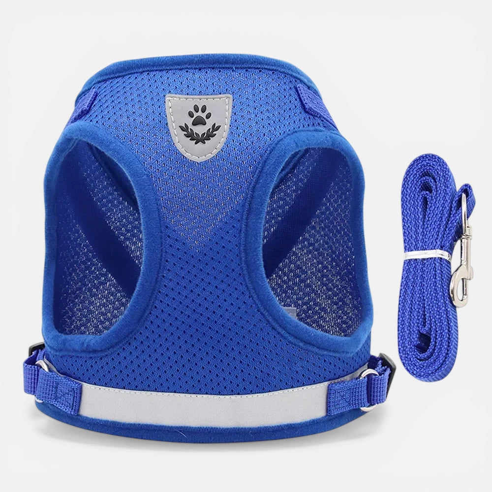 Harnais Pour Chat Anti Fugue Réfléchissant