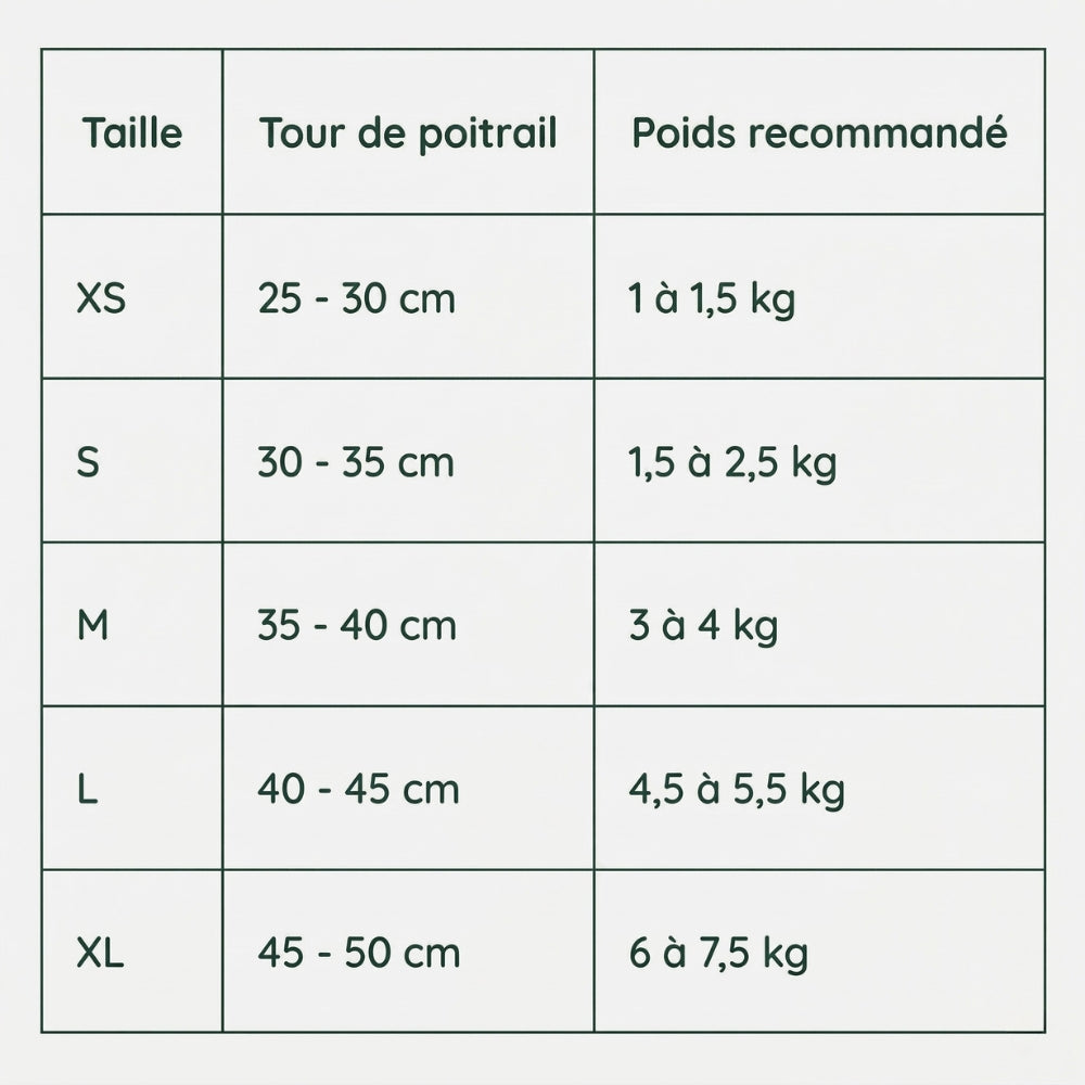 Harnais Anti Fugue Chat "Canard"