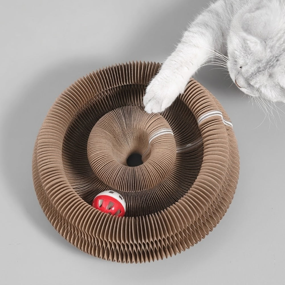 Jouet Pour Chat Interactif Griffoir