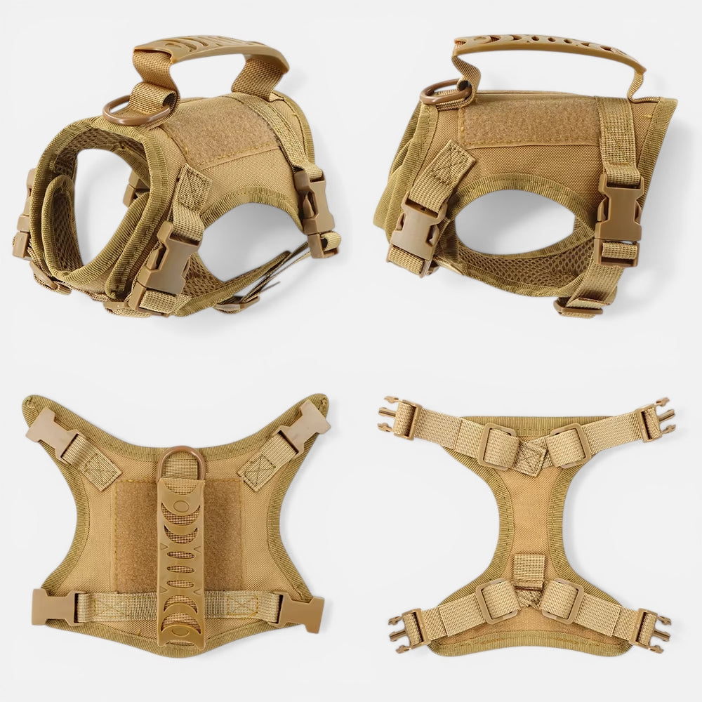 Harnais Tactique Pour Chat