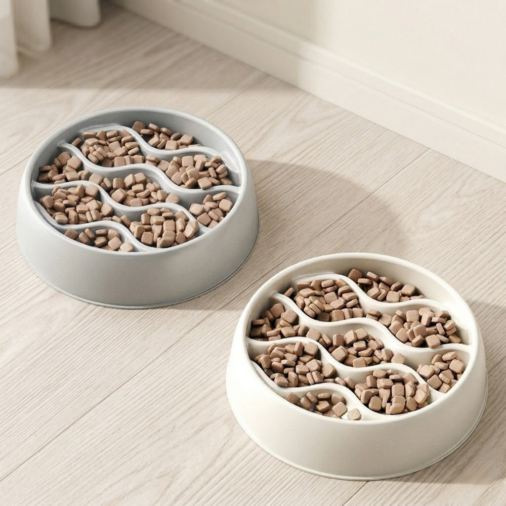 Gamelle Anti Glouton Chat Vague