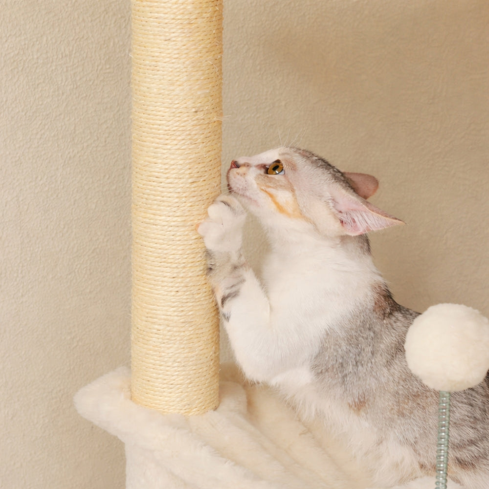 Arbre à Chat Géant Ajustable