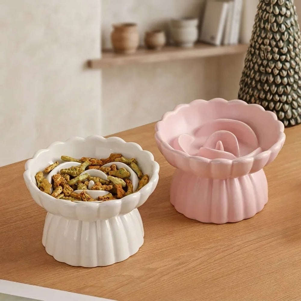 Gamelle Anti Glouton Céramique