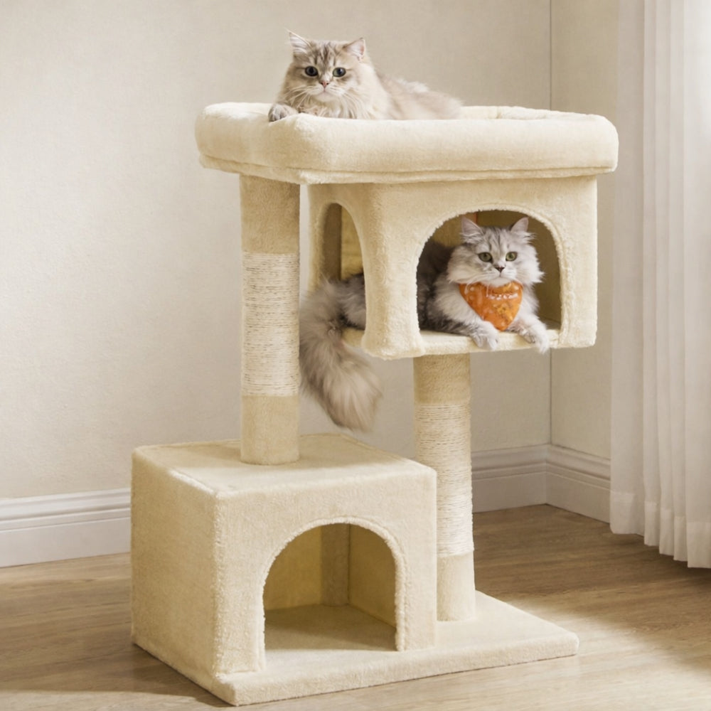 Arbre à Chat pour Chaton