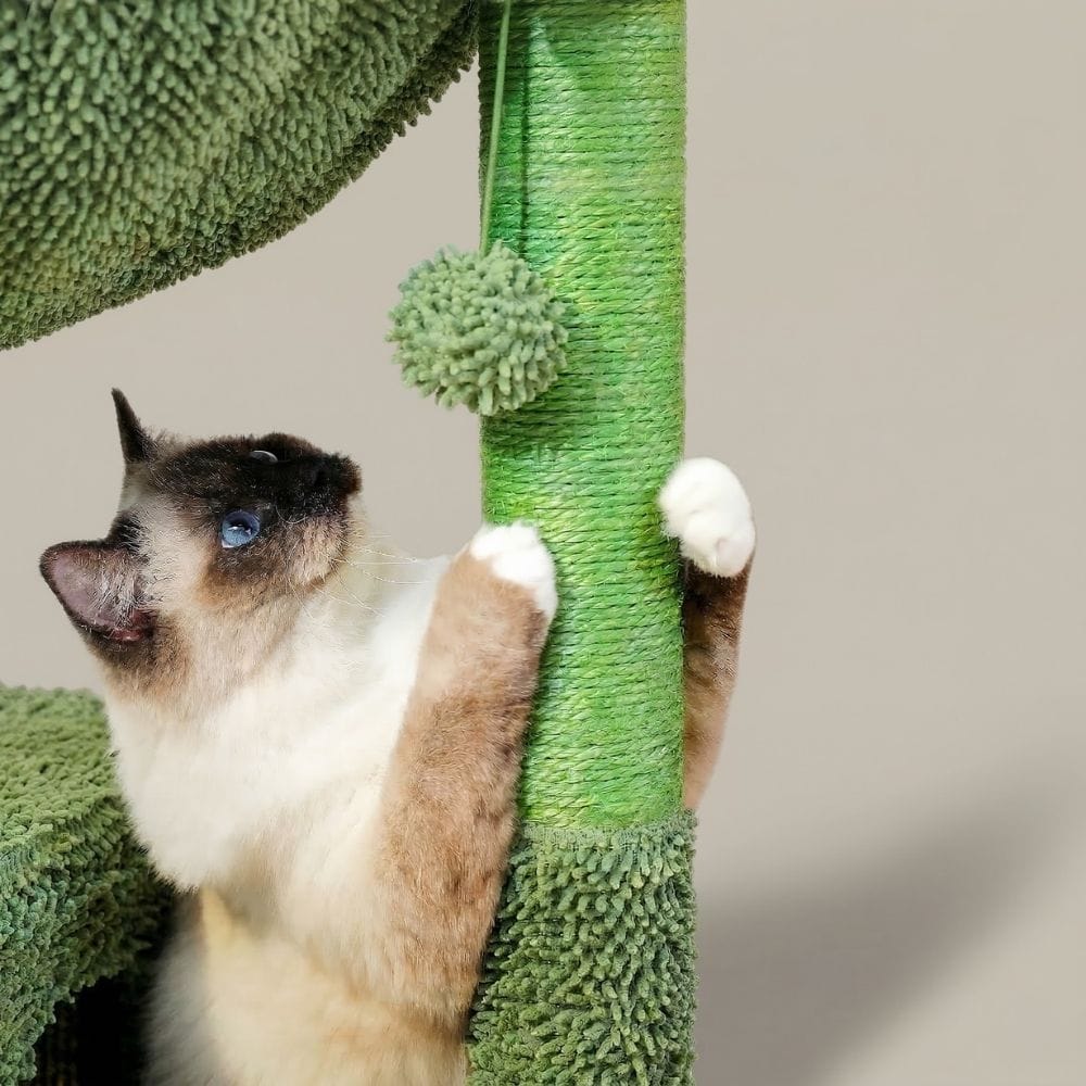 Chat Confort Arbre à Chat Cactus Arbre à Chat Cactus – Offrez à votre chat un paradis ludique unique !