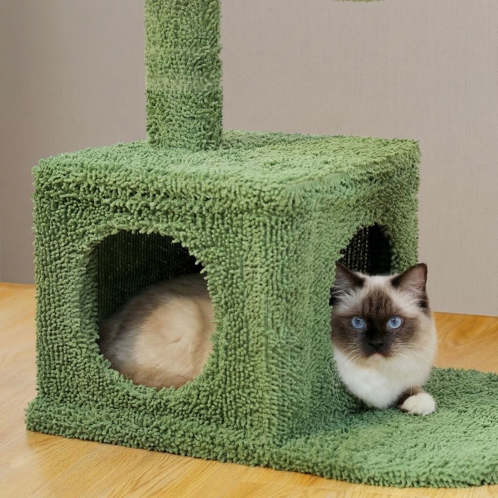 Chat Confort Arbre à Chat Cactus Arbre à Chat Cactus – Offrez à votre chat un paradis ludique unique !