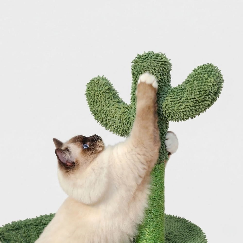 Chat Confort Arbre à Chat Cactus Arbre à Chat Cactus – Offrez à votre chat un paradis ludique unique !