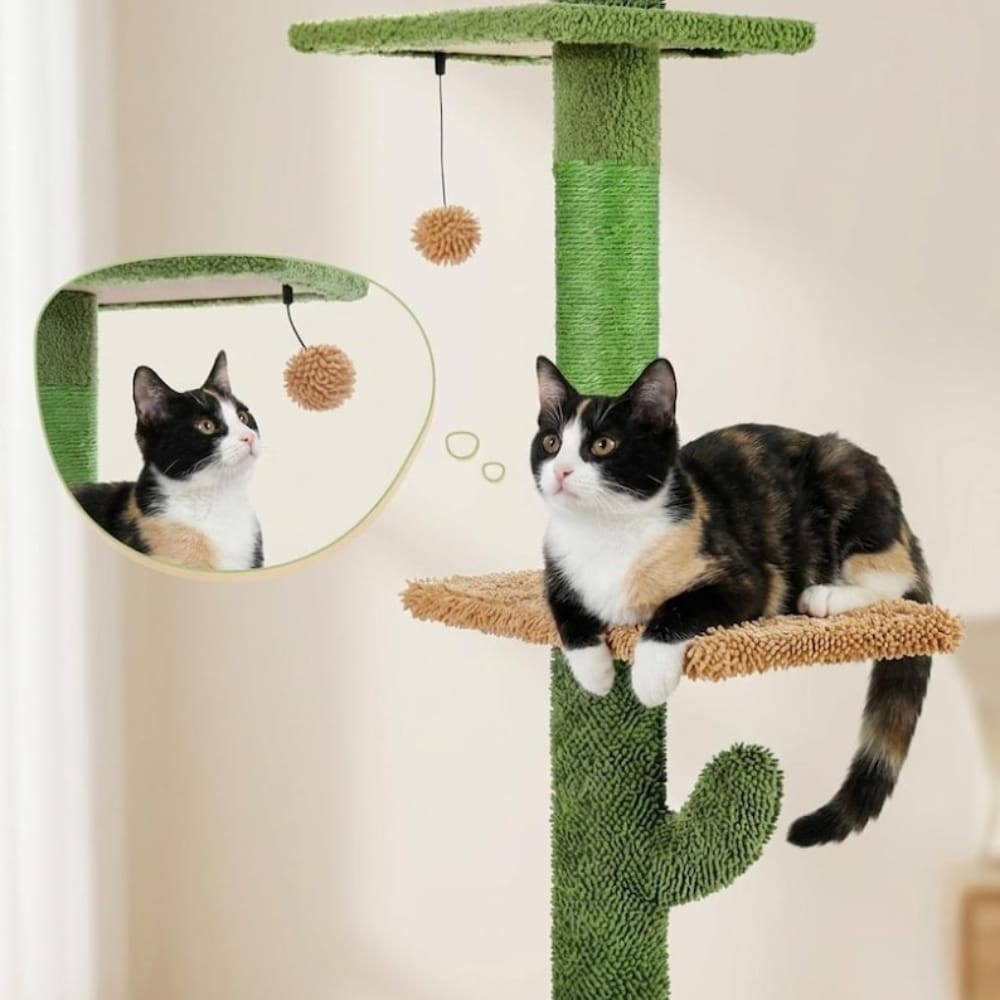 Chat Confort Arbre à Chat Cactus XXL Arbre à Chat Cactus XXL : Adoptez le style