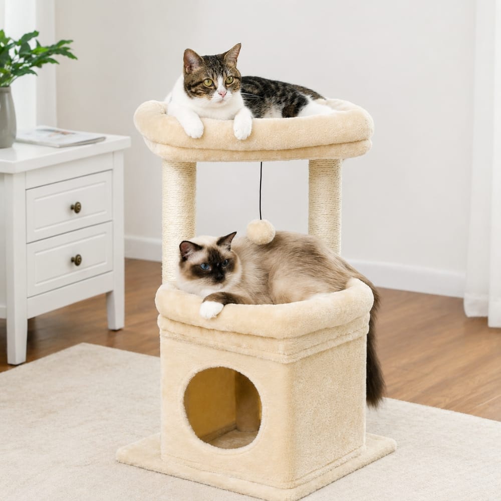 Chat Confort Arbre à Chat Compact Arbre à Chat Compact Espace jeu, montage facile