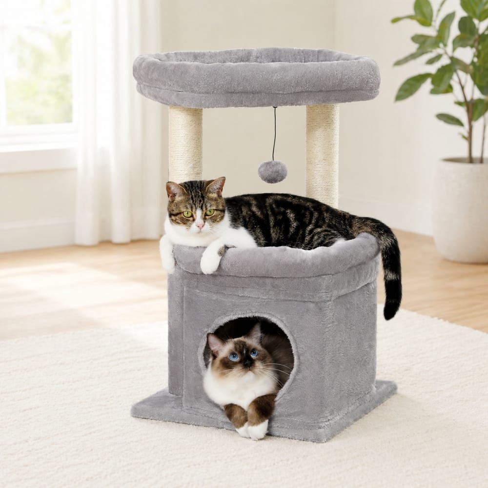 Chat Confort Arbre à Chat Compact Arbre à Chat Compact Espace jeu, montage facile