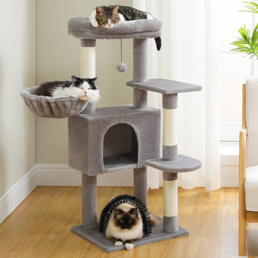 Chat Confort Arbre à Chat Confortable Arbre à Chat Confortable Offrez-lui son coin douillet !
