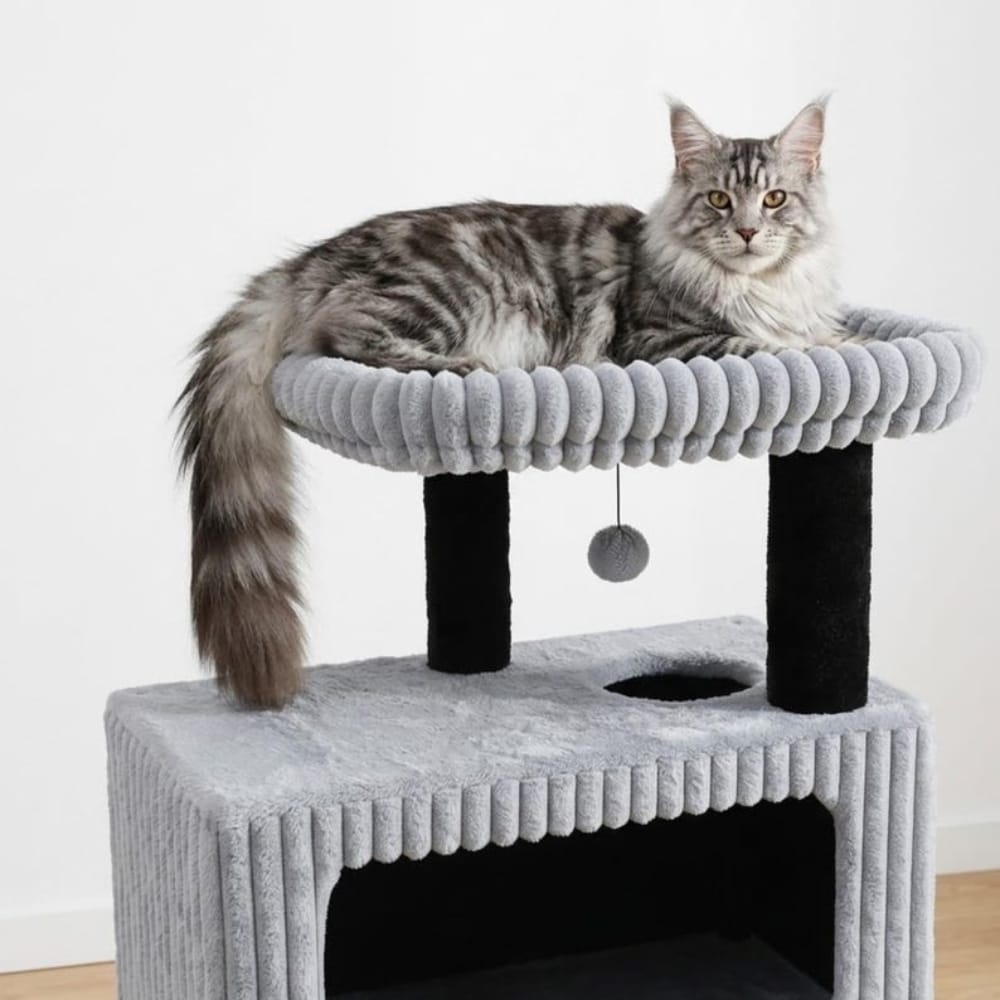 Chat Confort Arbre à Chat Design Multi-Niveau Arbre à Chat Design Multi-Niveau - Offrez-lui un royaume!