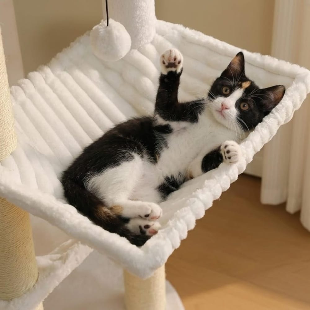 Chat Confort Arbre à Chat Design Multi-Niveau Arbre à Chat Design Multi-Niveau - Offrez-lui un royaume!