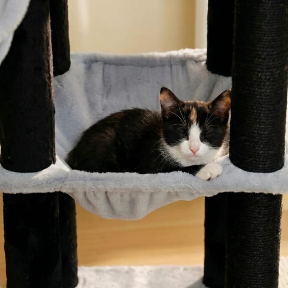 Chat Confort Arbre à Chat Design Multi-Niveau Arbre à Chat Design Multi-Niveau - Offrez-lui un royaume!