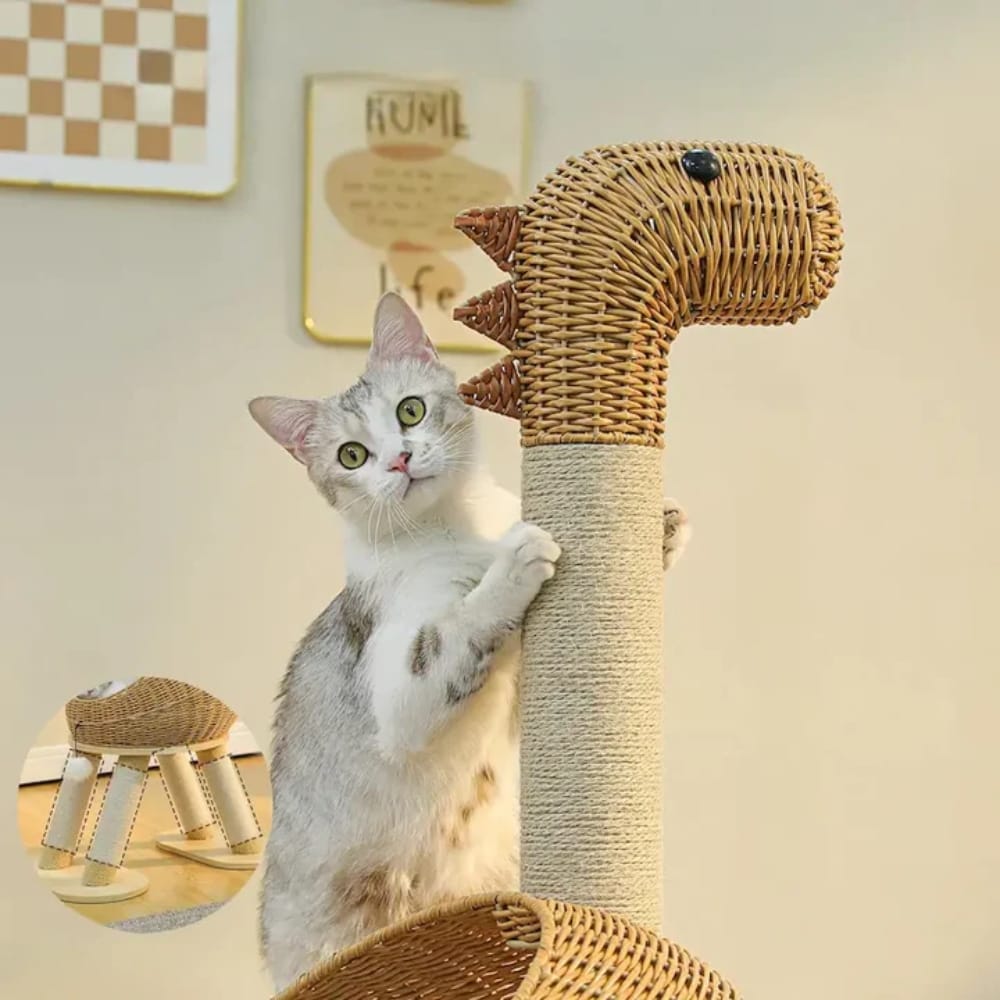 Chat Confort Arbre à Chat Dinosaure Arbre à Chat Dinosaure : Jeu assuré, griffes protégées