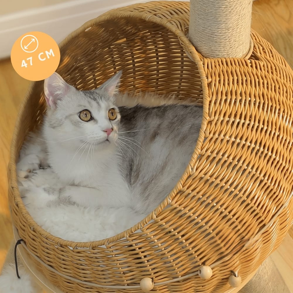 Chat Confort Arbre à Chat Dinosaure Arbre à Chat Dinosaure : Jeu assuré, griffes protégées