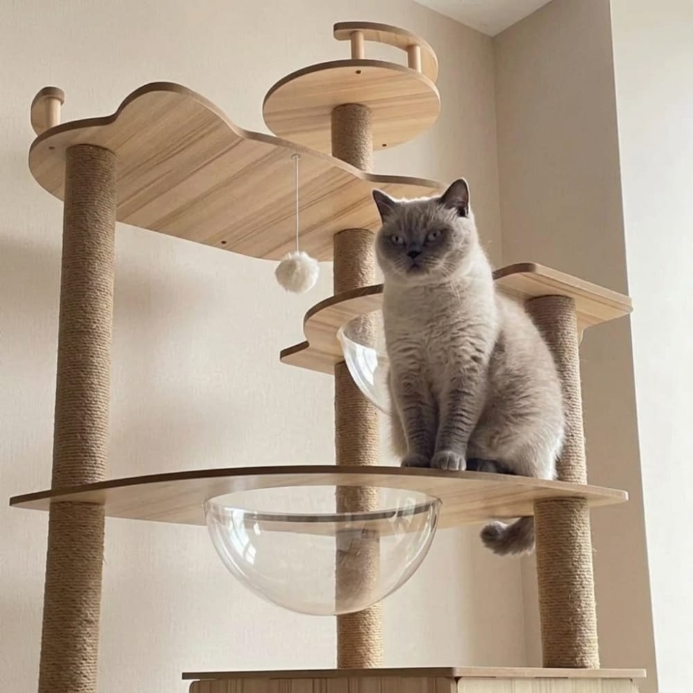 Chat Confort Arbre à Chat en Bois Arbre à Chat en Bois – Offrez à votre chat un paradis naturel unique