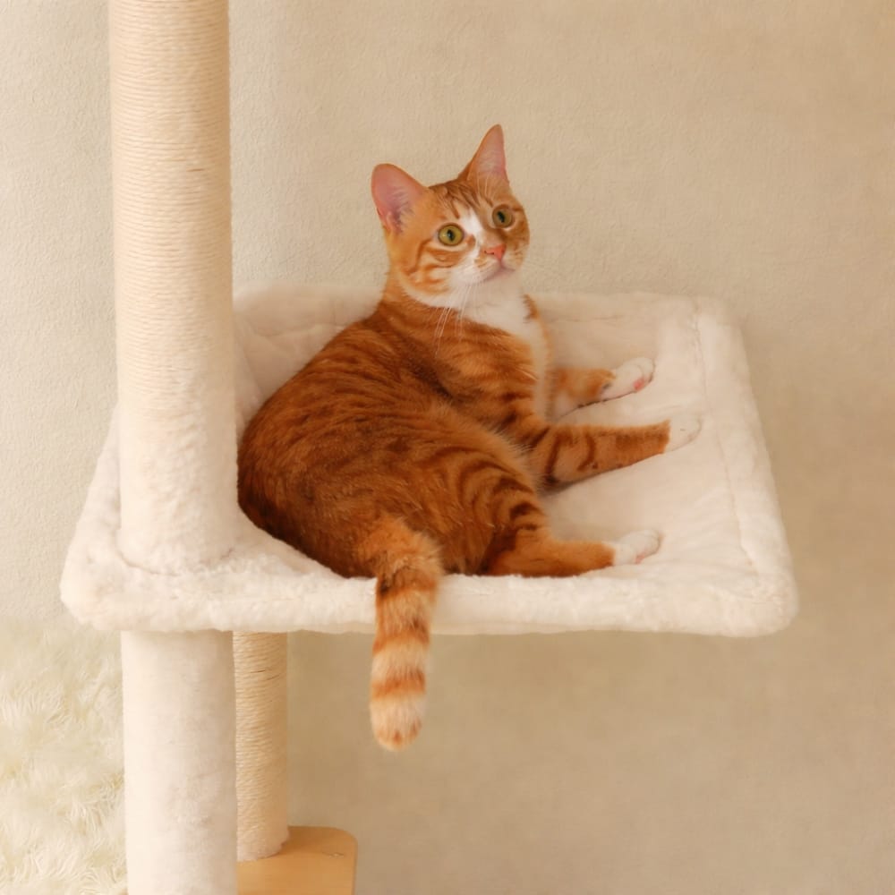 Chat Confort Arbre à Chat Géant Ajustable Arbre à Chat Géant Ajustable – Offrez à votre chat un royaume unique
