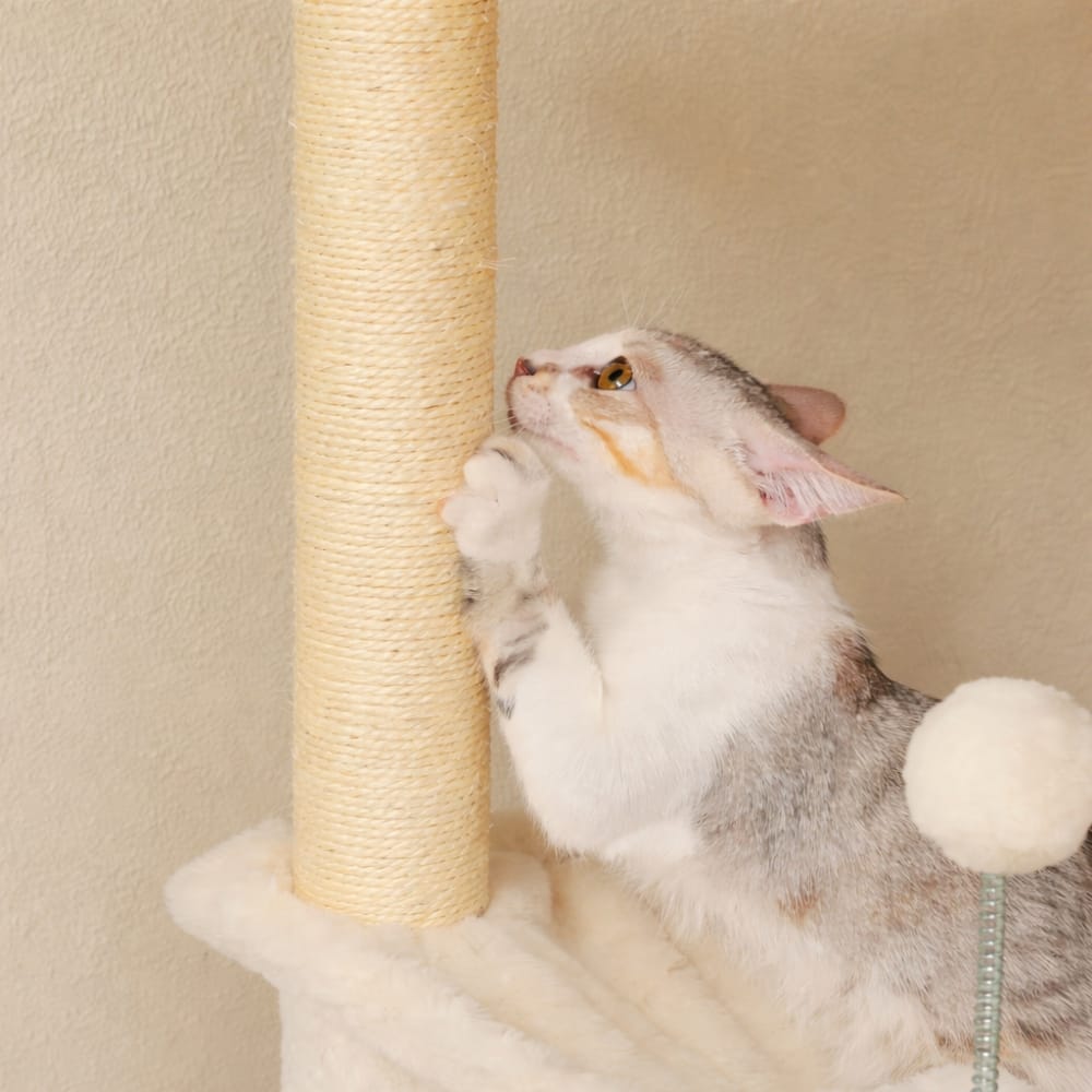 Chat Confort Arbre à Chat Géant Ajustable Arbre à Chat Géant Ajustable – Offrez à votre chat un royaume unique