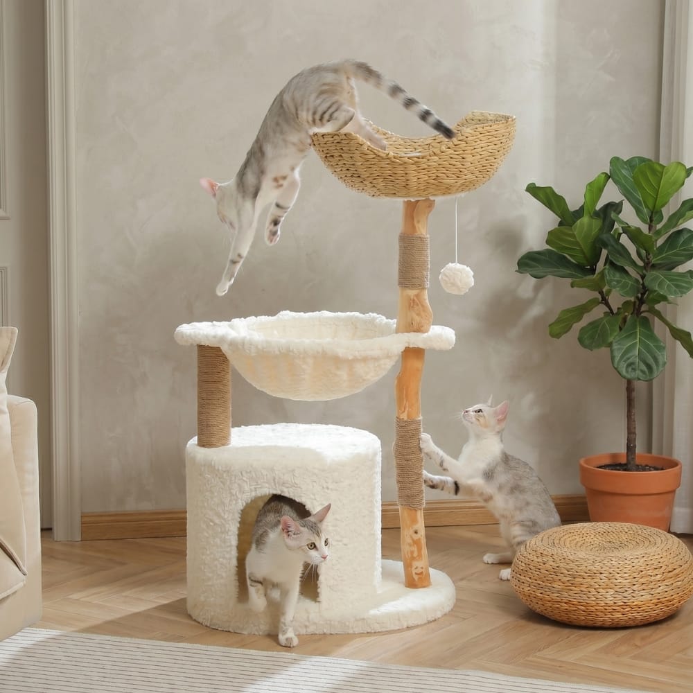 Chat Confort Arbre à Chat Moderne Arbre à Chat Moderne : design irrésistible