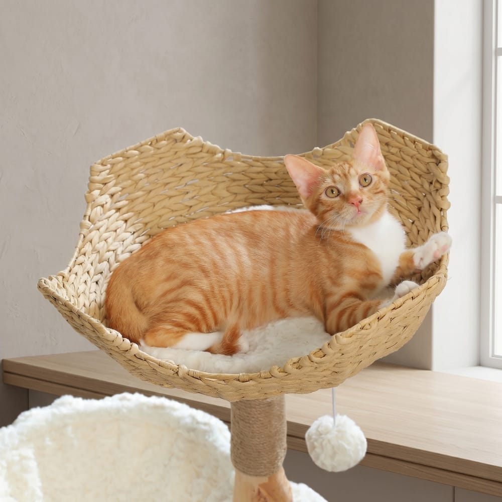 Chat Confort Arbre à Chat Moderne Arbre à Chat Moderne : design irrésistible
