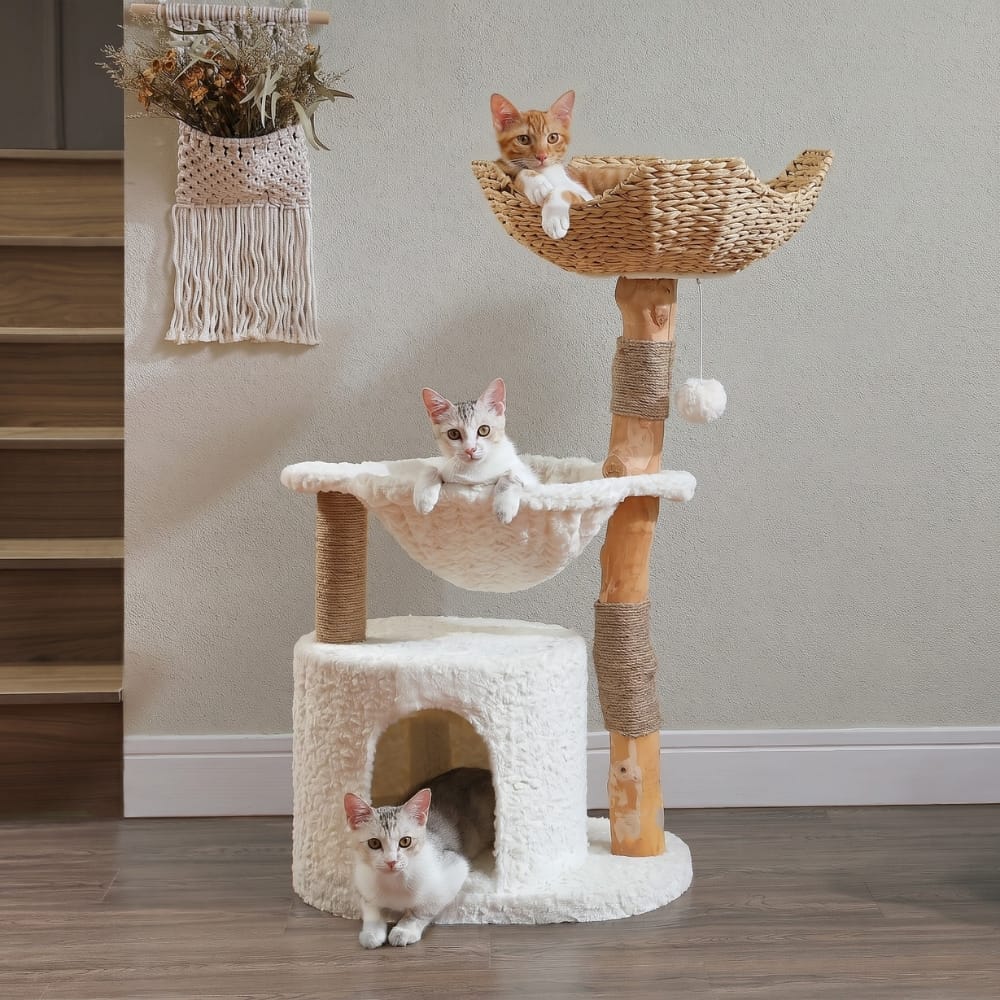 Chat Confort Arbre à Chat Moderne Arbre à Chat Moderne : design irrésistible