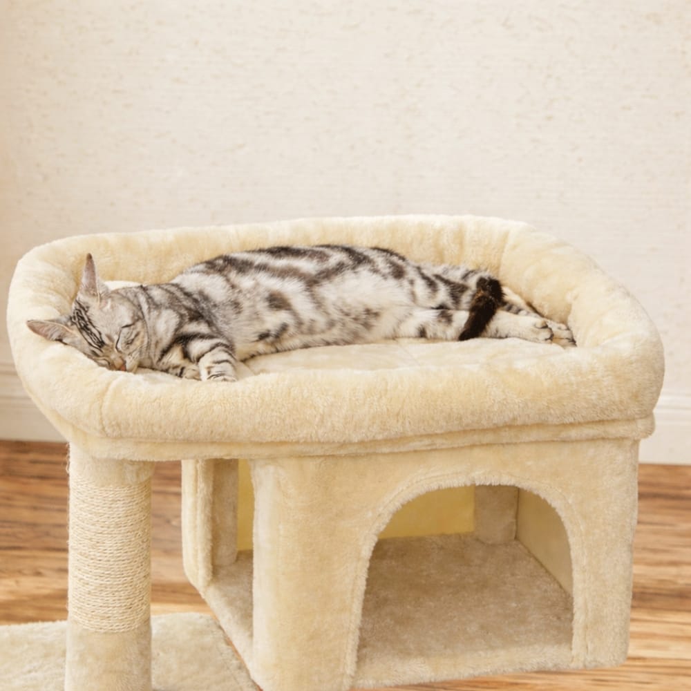 Chat Confort Arbre à Chat pour Chaton Arbre à Chat pour Chaton – Offrez-lui un Terrain de Jeu Irrésistible !