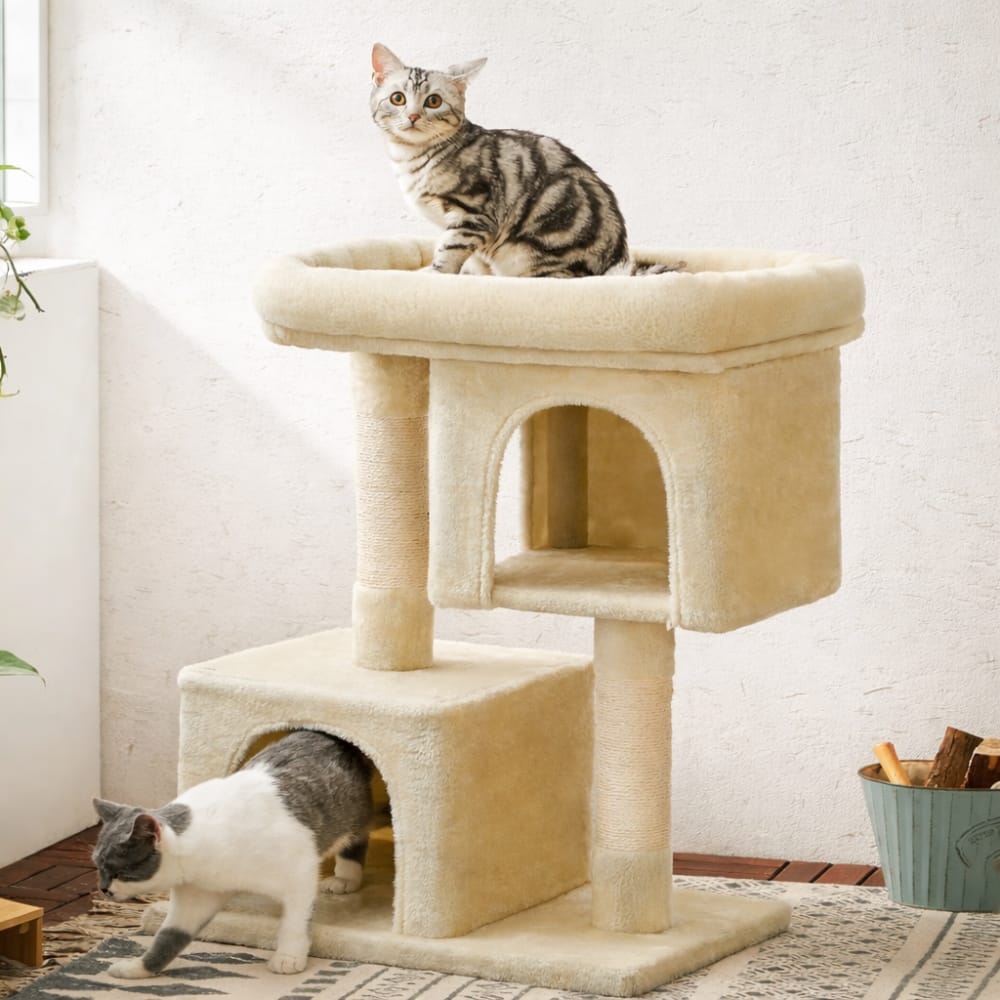 Chat Confort Arbre à Chat pour Chaton Arbre à Chat pour Chaton – Offrez-lui un Terrain de Jeu Irrésistible !