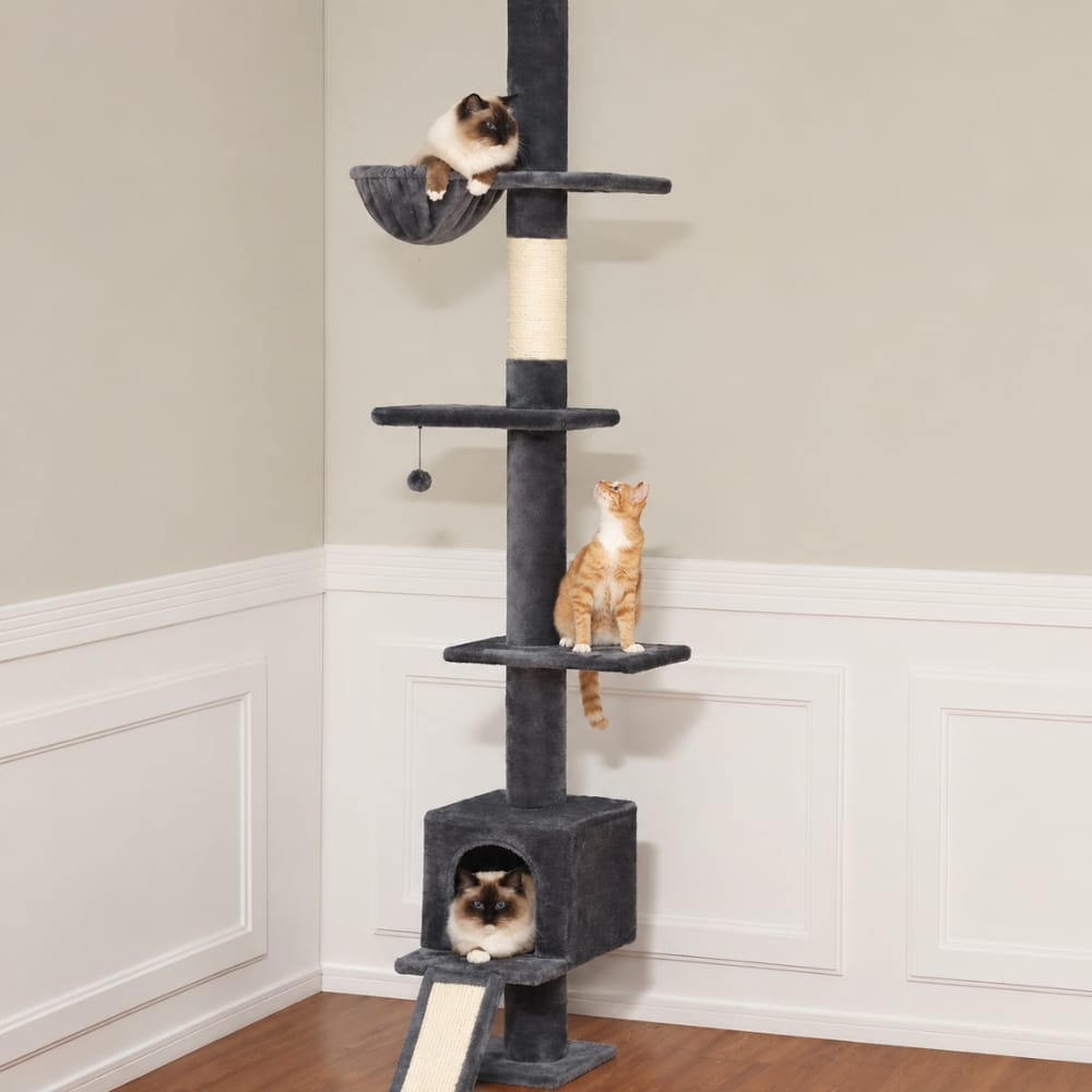 Chat Confort Arbre à Chat Sol Plafond Arbre à Chat Sol Plafond Adoptez le confort! Image