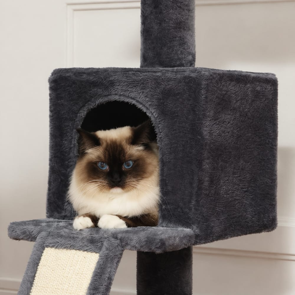 Chat Confort Arbre à Chat Sol Plafond Arbre à Chat Sol Plafond Adoptez le confort!