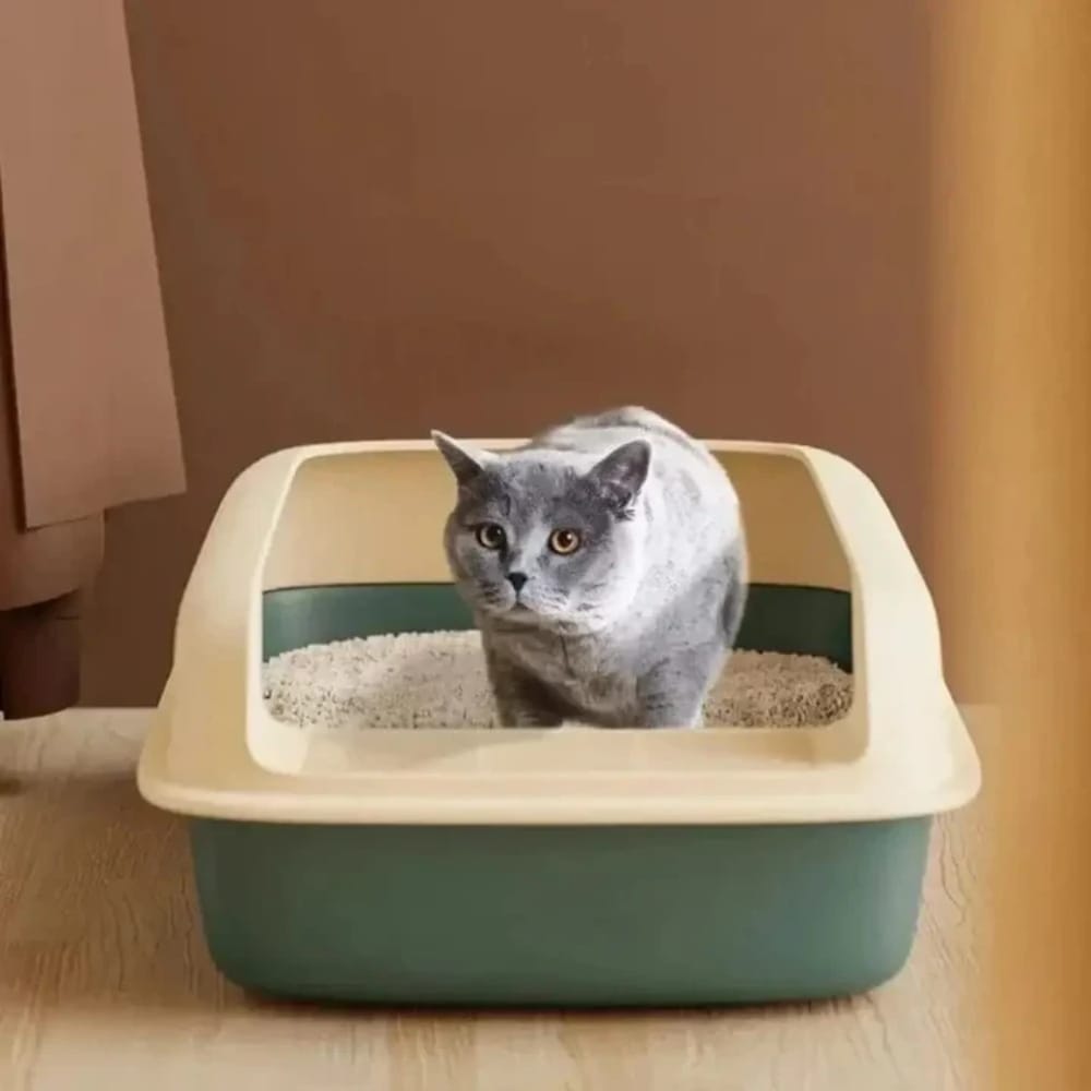 Chat Confort Bac à Litière Pour Chat - Confort et Hygiène Bac à Litière Pour Chat - Anti-éclaboussures Image