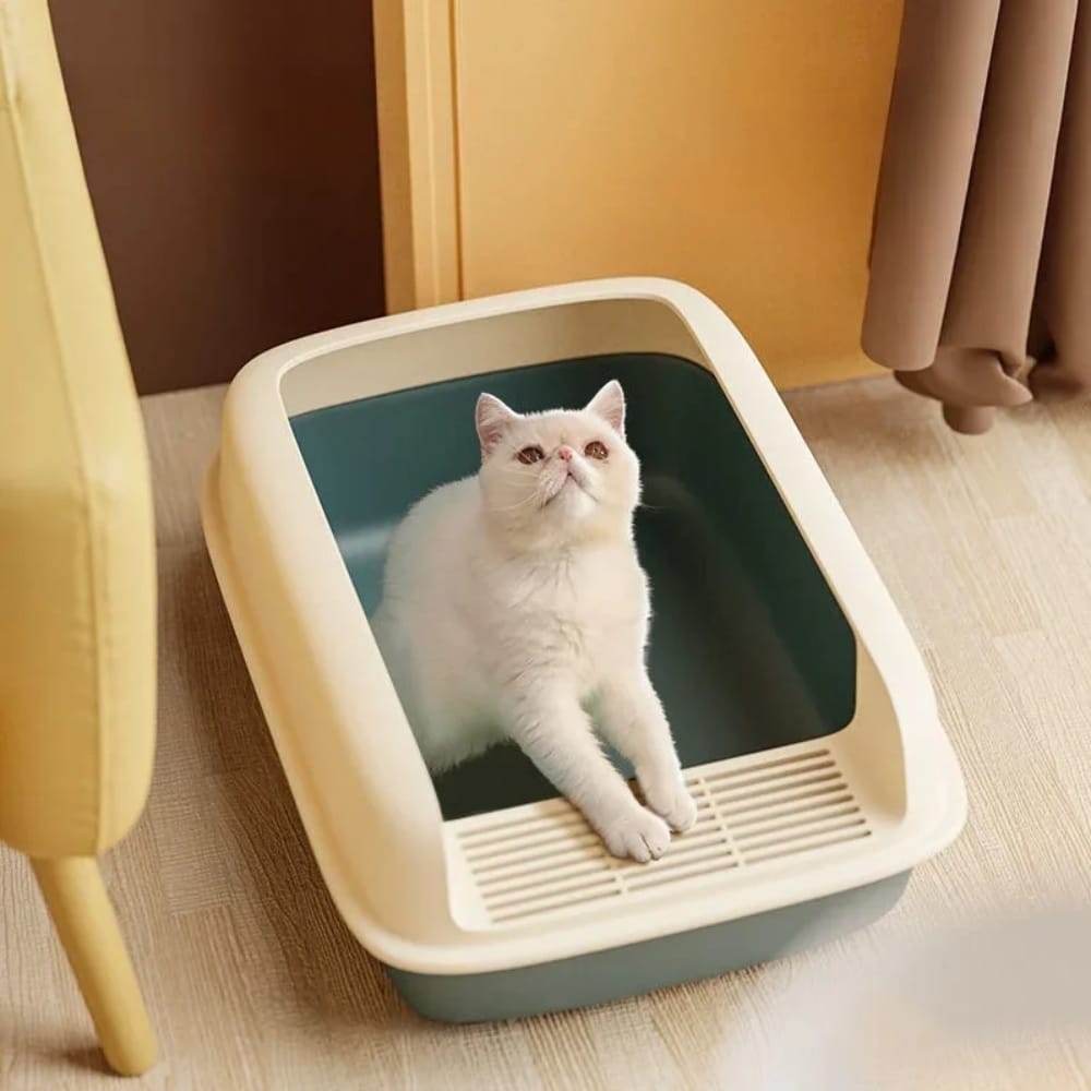Chat Confort Bac à Litière Pour Chat - Confort et Hygiène Bac à Litière Pour Chat - Anti-éclaboussures