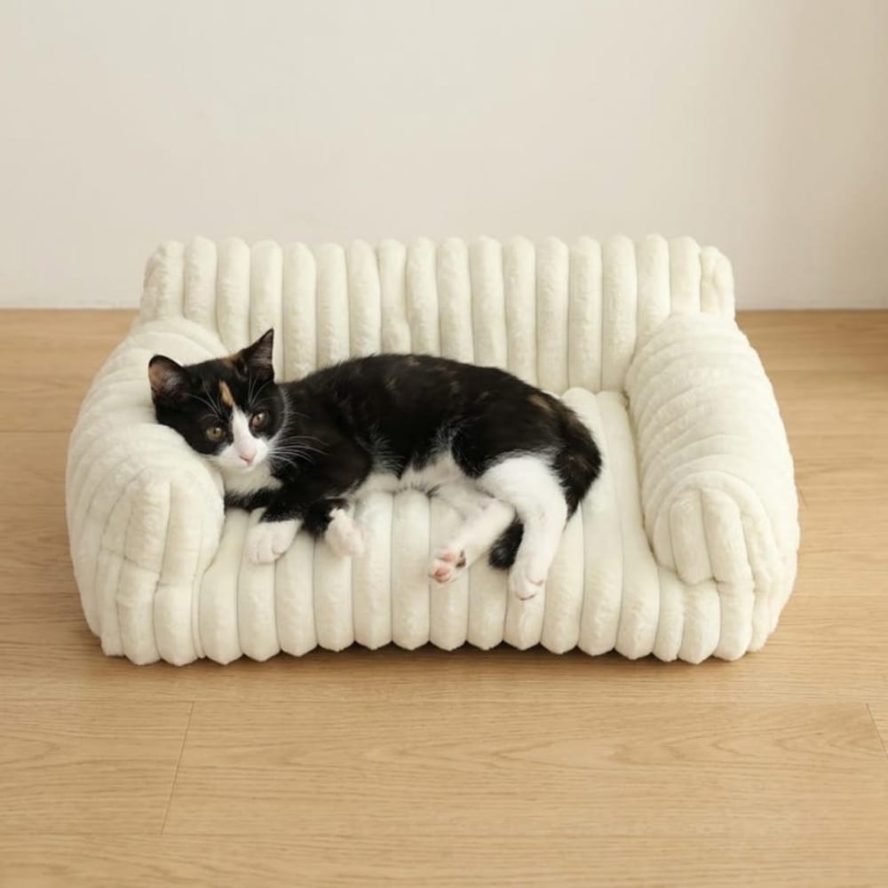 Chat Confort Canapé Pour Chat Canapé Pour Chat: Confort & Style, Craquez !