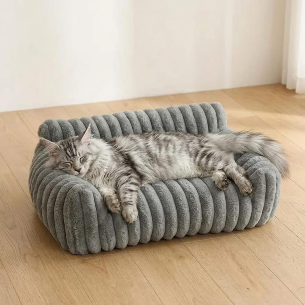 Chat Confort Canapé Pour Chat Canapé Pour Chat: Confort & Style, Craquez !