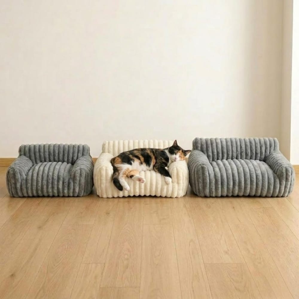 Chat Confort Canapé Pour Chat Canapé Pour Chat: Confort & Style, Craquez !