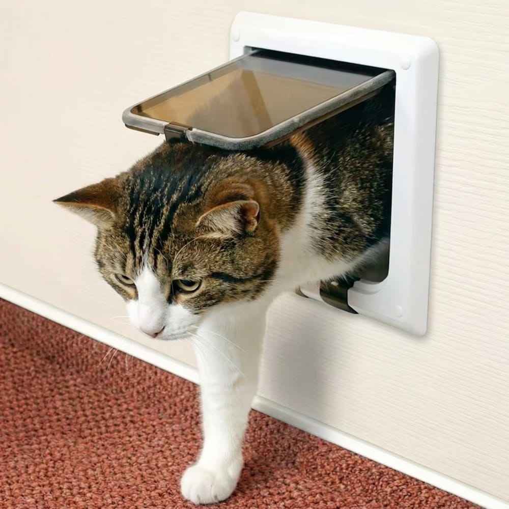 Chat Confort Chatière Chat Chatière Chat Accès libre, isolation parfaite