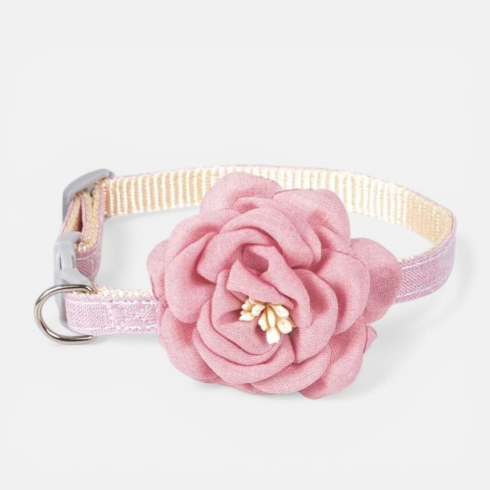 Chat Confort Collier Chat à Fleur Collier Chat à Fleur : Adoptez l’éclat