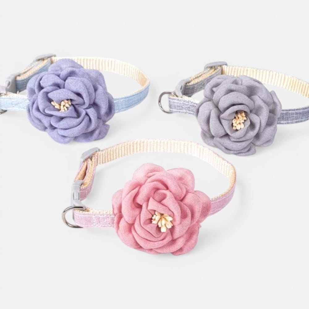 Chat Confort Collier Chat à Fleur Collier Chat à Fleur : Adoptez l’éclat