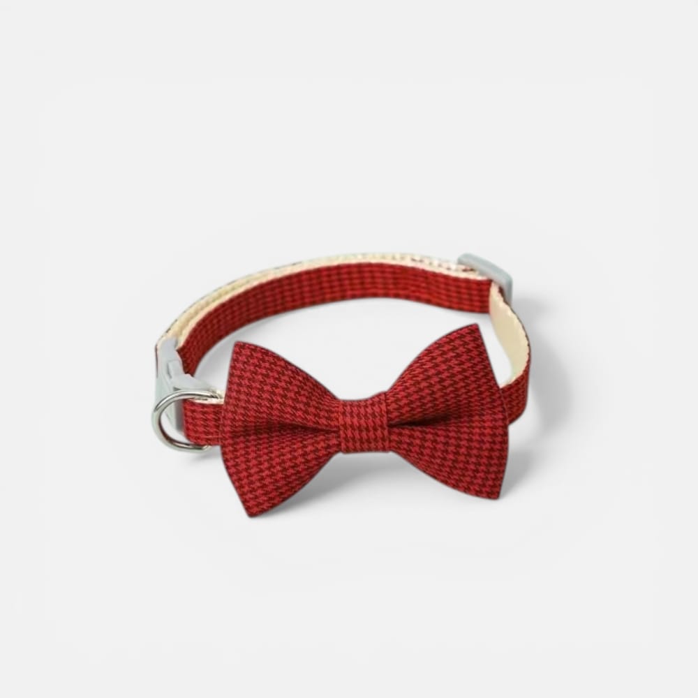 Chat Confort Collier Chat Noeud Papillon Collier Chat Noeud Papillon : Élégance irrésistible