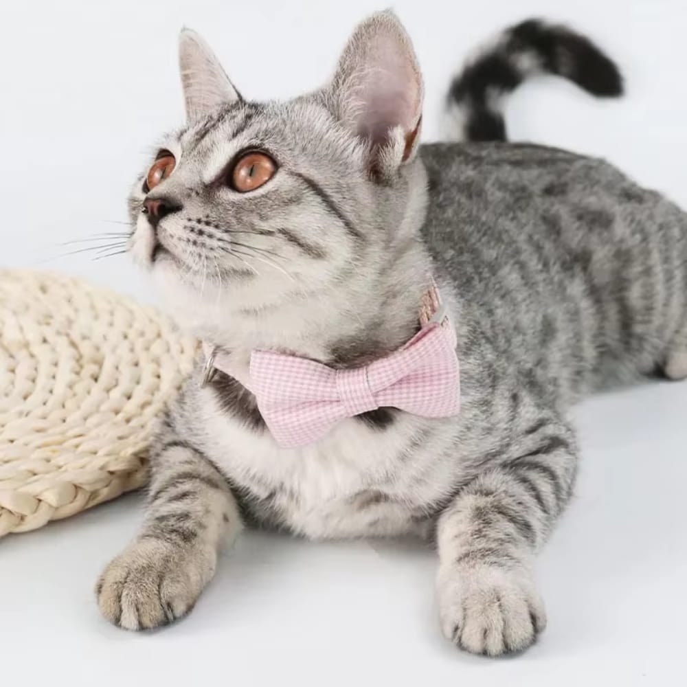 Chat Confort Collier Chat Noeud Papillon Collier Chat Noeud Papillon : Élégance irrésistible