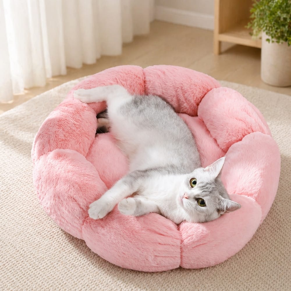 Chat Confort Coussin Douillet Pour Chat Coussin Douillet Pour Chat : Offrez-lui un confort! Image