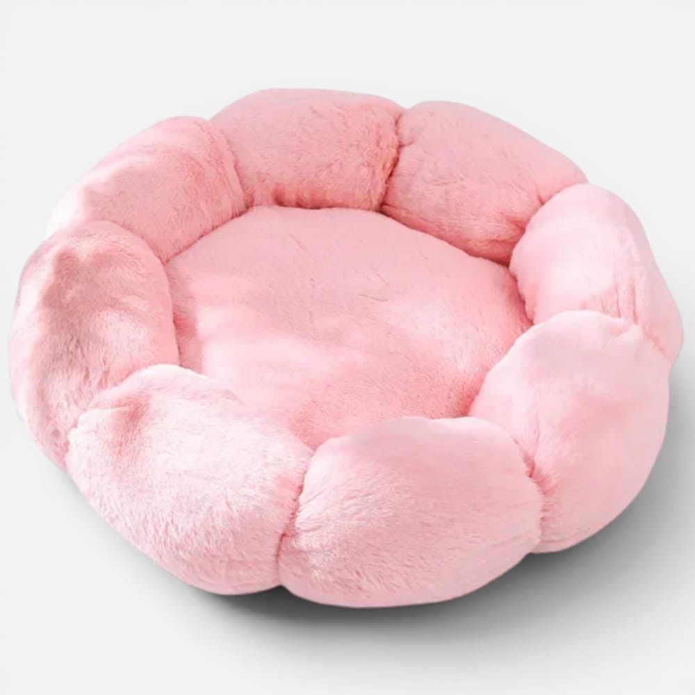 Chat Confort Coussin Douillet Pour Chat Coussin Douillet Pour Chat : Offrez-lui un confort!
