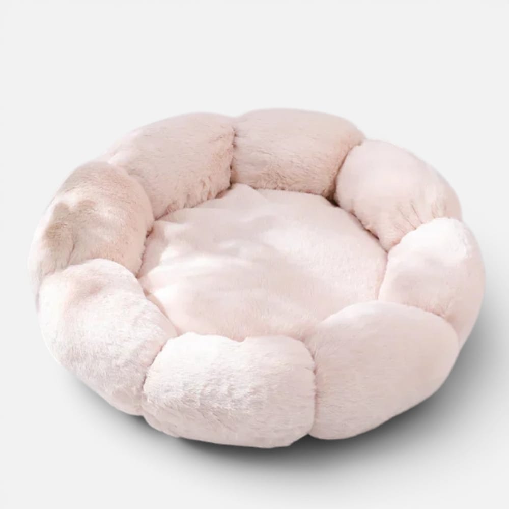 Chat Confort Coussin Douillet Pour Chat Coussin Douillet Pour Chat : Offrez-lui un confort!