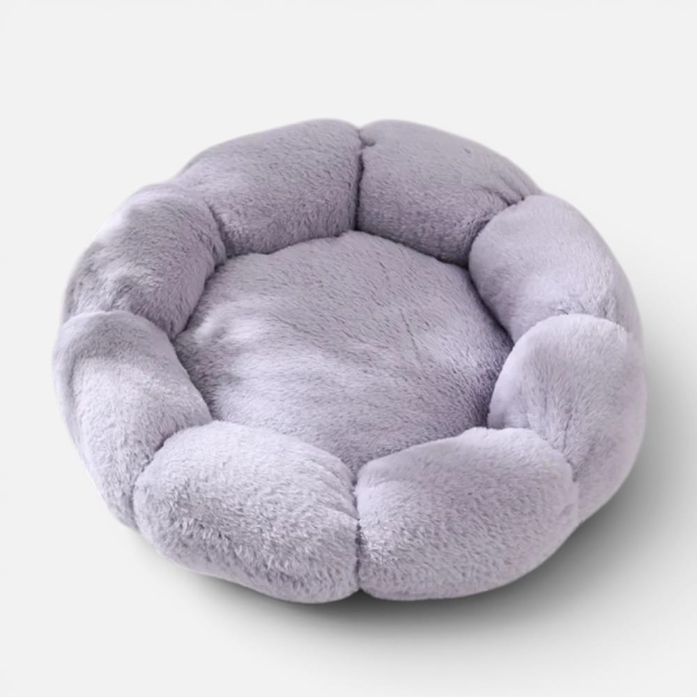 Chat Confort Coussin Douillet Pour Chat Coussin Douillet Pour Chat : Offrez-lui un confort!